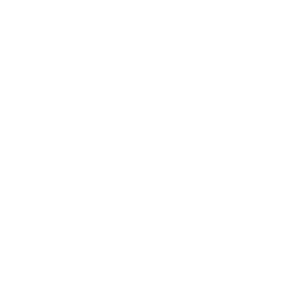 CV Pages icon